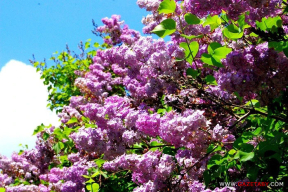 «Люди уже будто надрессированные, понимаете? Мыслящим – обсудить почти не с кем»